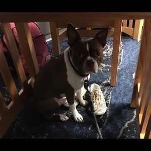 Meet your Posher, Becky